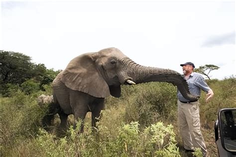  The Elephant's Whisperer - Eine Geschichte über Freundschaft und die Macht der Kommunikation